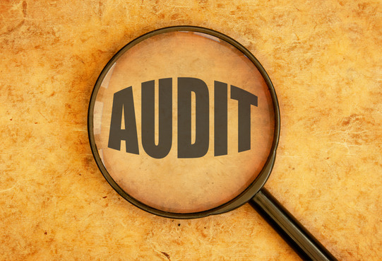 Audit reseaux sociaux medias sociaux